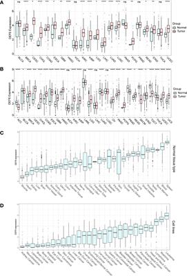 DEF6 has potential to be a biomarker for cancer prognosis: A pan-cancer analysis